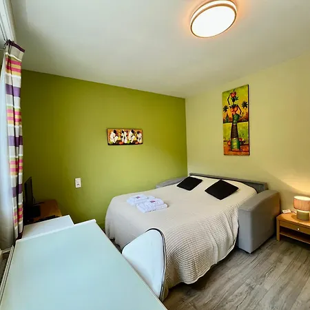 La Maison Du Gave - 8 Personnes - Jardin Nyaraló Lourdes