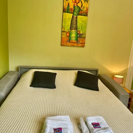La Maison Du Gave - 8 Personnes - Jardin