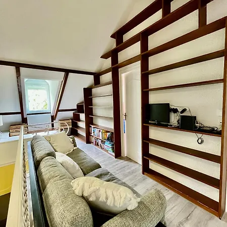 בית נופש La Maison Du Gave - 8 Personnes - Jardin לורדה