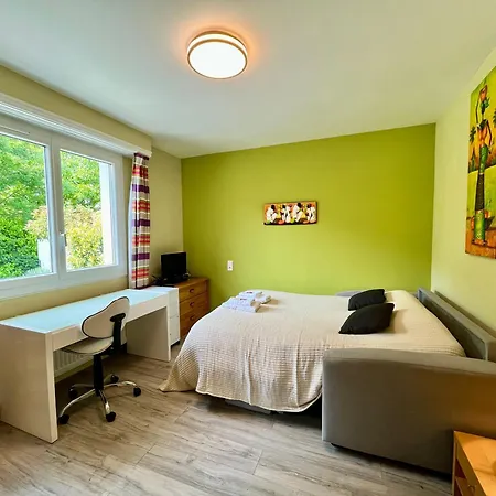 La Maison Du Gave - 8 Personnes - Jardin