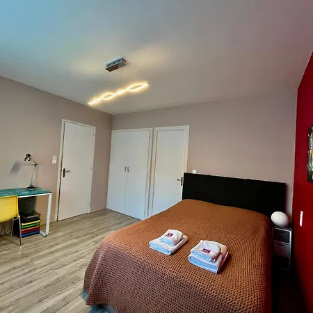 La Maison Du Gave - 8 Personnes - Jardin