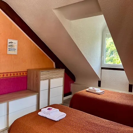 La Maison Du Gave - 8 Personnes - Jardin